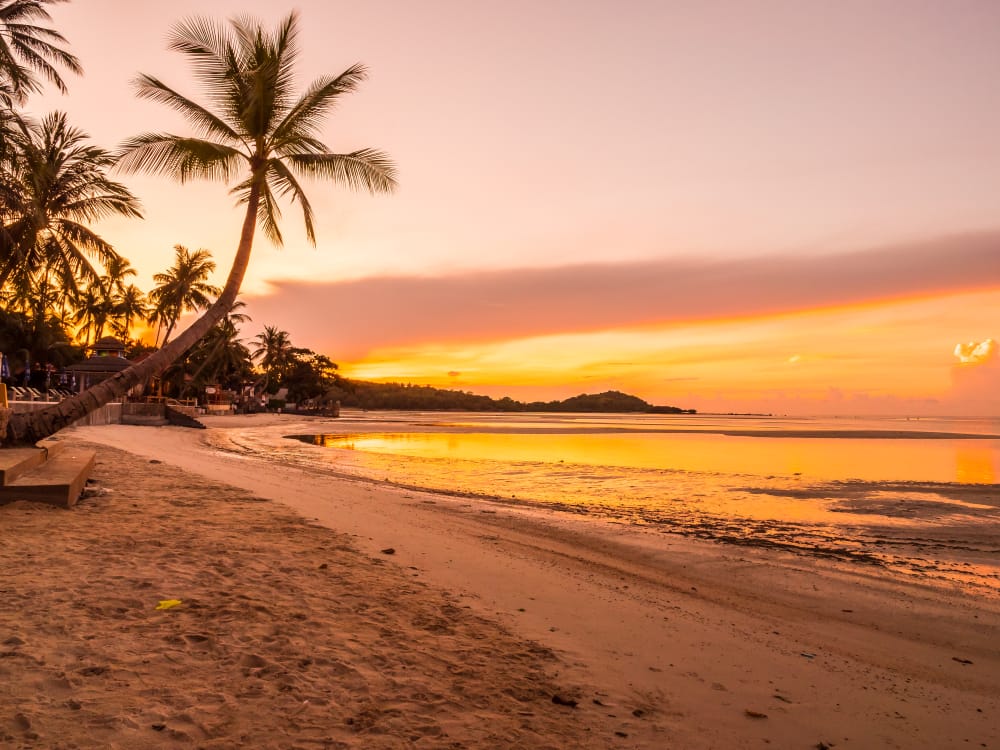 Coastal Road Adventure: Driving from Mumbai to Goa and the Hidden Gems Along the Way