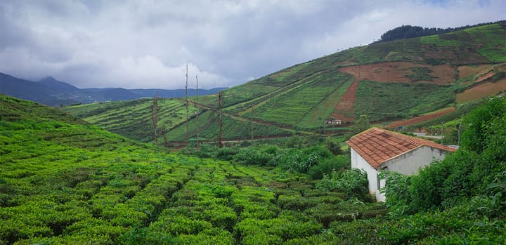 Scenic Retreat: Exploring the Beauty of Coorg from Bangalore