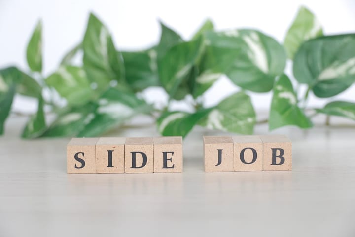 Additional income for IT professionals||||||