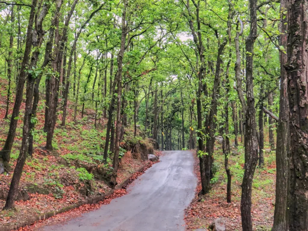 dehradun road trip